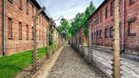Europako deportazioa nazien esparruetara (1940-1945) Europako deportazioa nazien esparruetara (1940-1945)