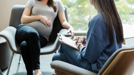 Perinatal Osasun Mentala eta Diziplina Anitzeko Abordatzeak Perinatal Osasun Mentala eta Diziplina Anitzeko Abordatzeak