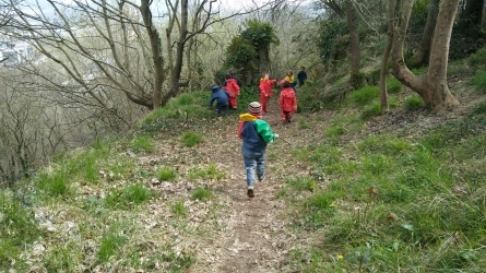 CURSO ONLINE EN DIRECTO - Aprendiendo mediante el juego y la naturaleza-TALLER PRESENCIAL (último día)