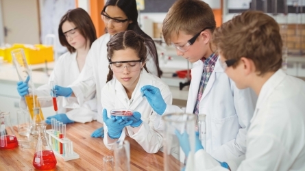 Investigación e Innovación Responsable en Educación Científica: Ciencia ciudadana y proyectos STEAM