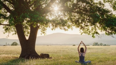 Mindfulness para desarrollar resiliencia y cuidar el bienestar emocional