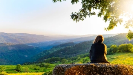 El silencio. Sin aditivos