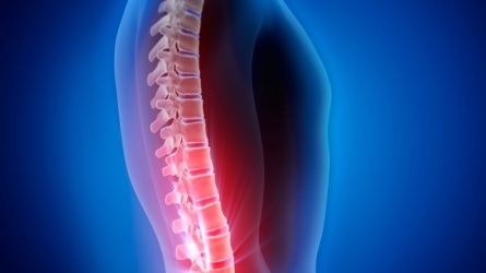 Columna Vertebral. Dolor cervical, dolor lumbar y escoliosis