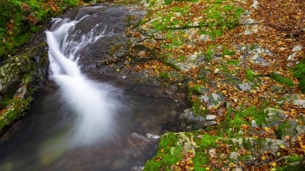 Artikutza as an element for the sustainability of San Sebastián