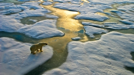 UN Climate Change conference (COP27): Anything new?