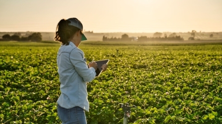 Digitalización y Gestión avanzada del conocimiento para la generación de entornos 3S en la cadena de valor de la alimentación y la madera