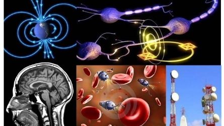 El magnetismo y las ciencias de la salud