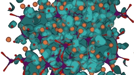 Science of Cement and Related Complex Materials (SCRCM19)