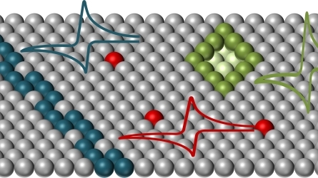 Photo- and ElectroCatalysis at the Atomic Scale (PECAS2019)